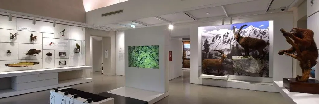 KOSMOS - MUSEO DI STORIA NATURALE - slide 4